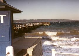 Dash Point Dock 1993