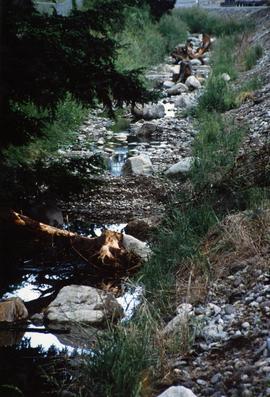 Clover Creek After, June 5 1993