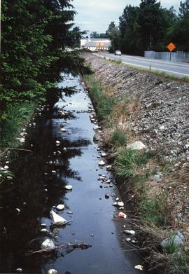 Clover Creek Before, May 28 1993