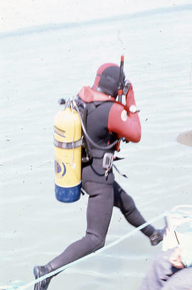 Diver Enters the Water During Installation of Biological Transect Under Old Town Dock August 8, 1975