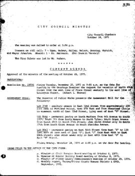 City Council Meeting Minutes, October 28, 1975