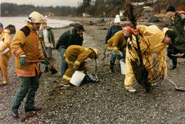 Oil Slicks and Spills--Washington State - 9