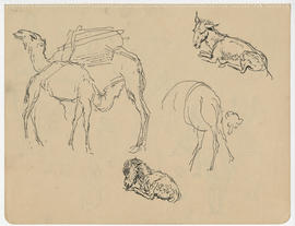 [untitled] Folio of small drawings