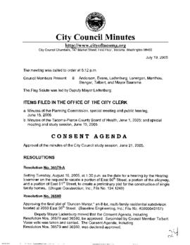 City Council Meeting Minutes, July 19, 2005