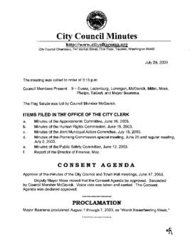 City Council Meeting Minutes, July 29, 2003