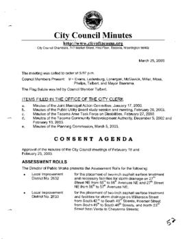 City Council Meeting Minutes, March 25, 2003