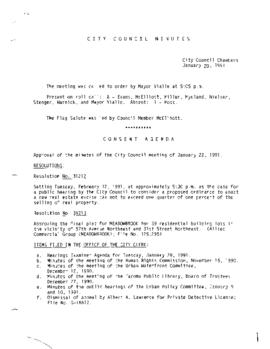 City Council Meeting Minutes, January 29, 1991