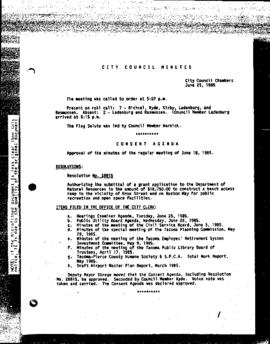 City Council Meeting Minutes, June 25, 1985
